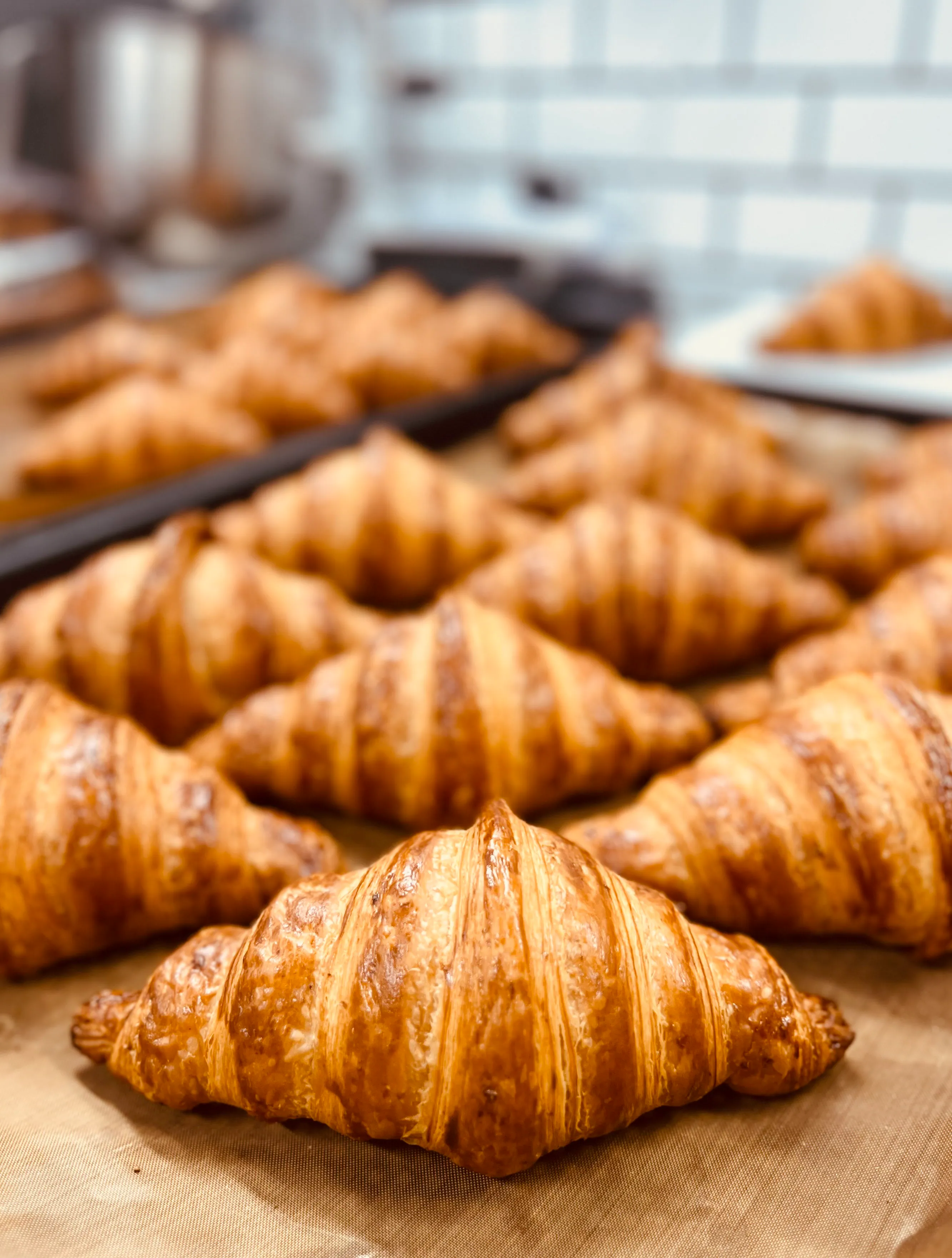 Tray of golden, flaky butter croissants fresh from the oven