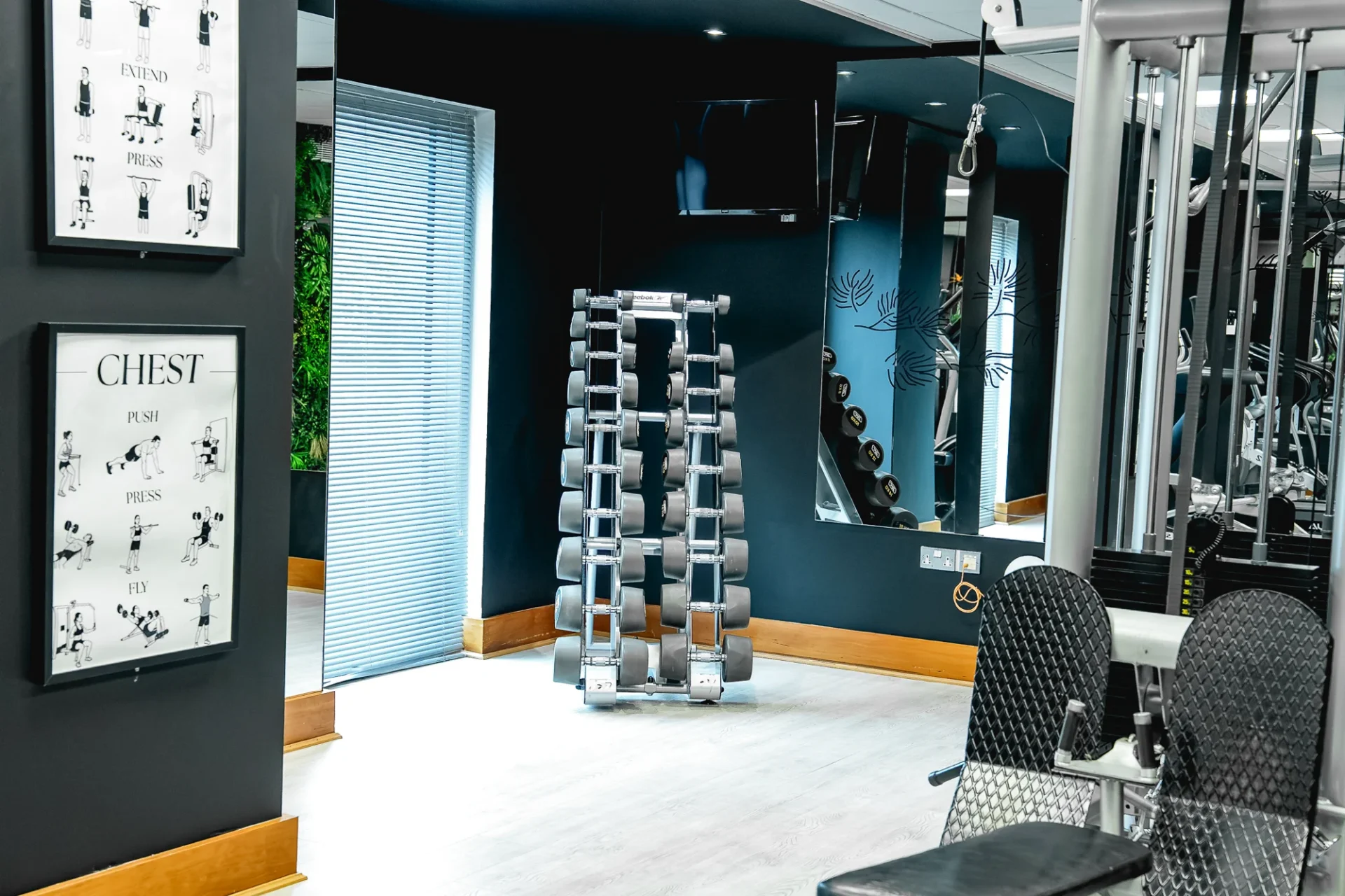 Dumbbell rack and cable machines in the IronPeak free-weights area